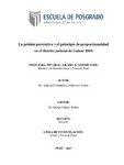 La prisión preventiva y el principio de proporcionalidad en el distrito judicial de Cañete 2016