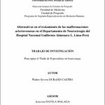 Alternativas en el tratamiento de las malformaciones arteriovenosas en el Departamento de Neurocirugía del Hospital Nacional Guillermo Almenara I, Lima-Perú