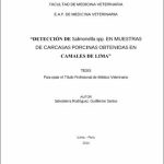 Detección de Salmonella spp. en muestras de carcasas porcinas obtenidas en camales de Lima