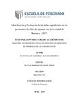Identificación y Evaluación de las fallas superficiales en los pavimentos flexibles de algunas vías de la ciudad de Barranca – 2017