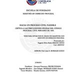 Hacia un proceso civil flexible : crítica a las preclusiones rígidas del código procesal civil peruano de 1993