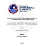 Identificación de los factores de éxito del programa “Matemáticas Para Todos” del nivel inicial, en la provincia de Pisco – Ica durante el año 2018