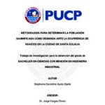 Metodología para determinar la población damnificada como demanda ante la ocurrencia de huaicos en la ciudad de Santa Eulalia