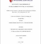Análisis económico financiero y su repercusión en la toma de decisiones de la Empresa Merino Motor’s E.I.R.L Sullana Periodo 2017- 2018