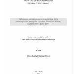 Hallazgos por resonancia magnética de la patología del manguito rotador, Hospital Militar, agosto 2010 – julio 2011