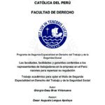 Las facultades, facilidades y garantías conferidas a los representantes de trabajadores en la empresa en el Perú: razones para repensar su regulación