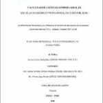 La información financiera y su influencia en la toma de decisiones de la empresa Comercial Merino S.R.L. Sullana, Periodo 2017-2018