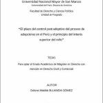 El plazo del control post adoptivo del proceso de adopciones en el Perú y el principio del interés superior del niño