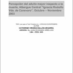 Percepción del adulto mayor respecto a la muerte, Albergue Central «Ignacia Rodulfo Vda. de Canevaro» octubre-noviembre, 2003