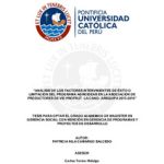 Análisis de los factores intervinientes de éxito o limitación del Programa Agroideas en la Asociación de Productores de Vid Profrut La Cano- Arequipa 2015-2018