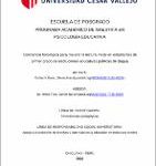 Conciencia fonológica para mejorar la lectura inicial en estudiantes de primer grado de instituciones educativas públicas de Bagua