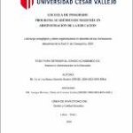 Liderazgo pedagógico y clima organizacional en docentes de las instituciones educativas de la Red 01 de Cieneguilla, 2020
