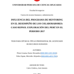 Influencia del programa de Mentoring en el desempeño de los colaboradores: caso Repsol exploración del Perú en el periodo 2017