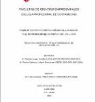 Grado de satisfacción del control interno y el nivel de flujo de efectivo del grupo Ramco SAC, Ica – 2020