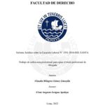 Informe Jurídico sobre la Casación Laboral N° 3591-2016-DEL SANTA