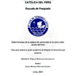 Determinantes de la captura de anchoveta en la zona norte-centro del Perú