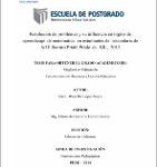 Resolución de problemas y su influencia en logros de aprendizaje de matemática en estudiantes de secundaria de la IE Ramiro Prialé Prialé de SJL, 2013