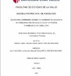 Agresividad y habilidades sociales en estudiantes de secundaria de instituciones educativas públicas en la Provincia Constitucional del Callao, 2020