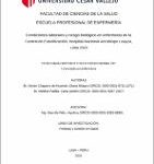 Condiciones laborales y riesgo biológico en enfermeras de la Central de Esterilización, Hospital Nacional Arzobispo Loayza, Lima 2020