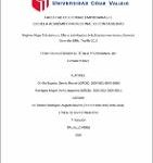 Régimen Mype tributario y su efecto en la liquidez de la Empresa Inversiones y Servicios Generales EIRL, Trujillo 2018