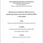 Razones para el consumo de sulfato ferroso en gestantes que asisten a dos centros de salud de la DISA V Lima ciudad