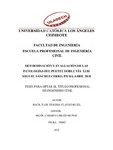 Determinación y evaluación de las patologías del puente doble vía Luis Miguel Sánchez Cerro, Piura-Abril 2018