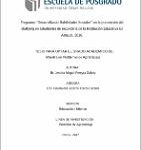 Programa “Desarrollando Habilidades Sociales” en la prevención del Bullying en estudiantes de secundaria de la Institución Educativa El Amauta, 2016