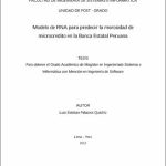 Modelo de RNA para predecir la morosidad de microcredito en la Banca Estatal Peruana