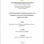 Nivel de desarrollo de la gestión por procesos en los hospitales de Nivel II de Lima Metropolitana – Ministerio de Salud