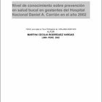 Nivel de conocimiento sobre prevención en salud bucal en gestantes del Hospital Nacional Daniel A. Carrión en el año 2002