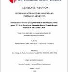 Funcionalidad familiar y la agresividad en los niños de primer grado “C” de la Escuela de Educación Básica Estenio Burgos Galarza de San Carlos – 2020