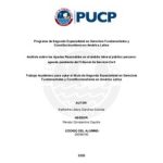 Análisis sobre los Ajustes Razonables en el ámbito laboral público peruano: agenda pendiente del Tribunal de Servicio Civil