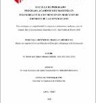 Plan estratégico y competitividad de empresas constructoras medianas, caso de estudio: Rey Construcciones Generales S.A.C, San Martín de Porres 2020