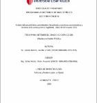 Análisis del procedimiento administrativo disciplinario a servidores administrativos y docentes de la carrera pública magisterial, UGEL 01 El Porvenir, 2018