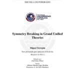 Symmetry breaking in grand unified theories