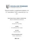 Planeación estratégica y acompañamiento pedagógico en la I.E. “Simón Bolívar”, UGEL 14, distrito de Oyón, Lima2017