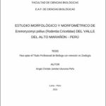 Estudio morfológico y morfométrico de eremoryzomys polius (rodentia:cricetidae) del valle del Alto Marañón – Perú