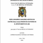 Perfil bioquímico sanguíneo hepático en coatíes (Nasua nasua) criados en cautiverio en el departamento de Lima