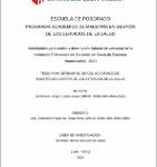 Habilidades gerenciales y desempeño laboral del personal de la Institución Prestadora de Servicios de Salud de Paucará, Huancavelica, 2021