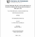 Liderazgo Pedagógico Directivo En El Desempeño Docente En Instituciones Educativas Del Nivel Secundario Del Distrito De Moquegua – 2016
