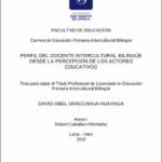 Perfil del docente intercultural bilingüe desde la percepción de los actores educativos