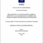 Relación de la satisfacción laboral afectiva y la autoeficacia laboral en trabajadores profesionales peruanos