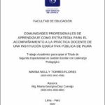 Comunidades profesionales de aprendizaje como estrategia para el acompañamiento a la práctica docente de una institución educativa pública de Piura