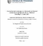 Acompañamiento Pedagógico y Desempeño Profesional en Docentes de Primaria de la I.E. “Mariscal Luzuriaga”, Casma, 2017.
